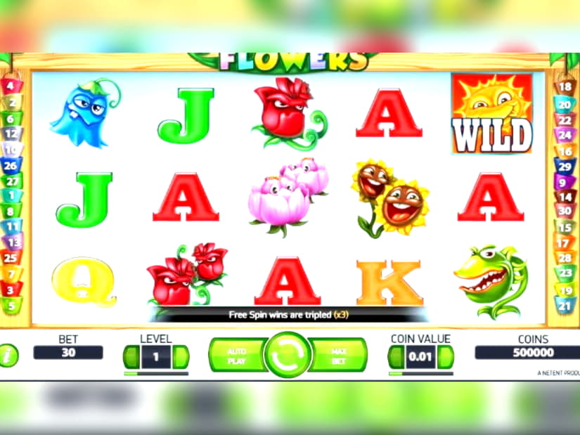 655% Bónas Fáilte ag Joy Casino